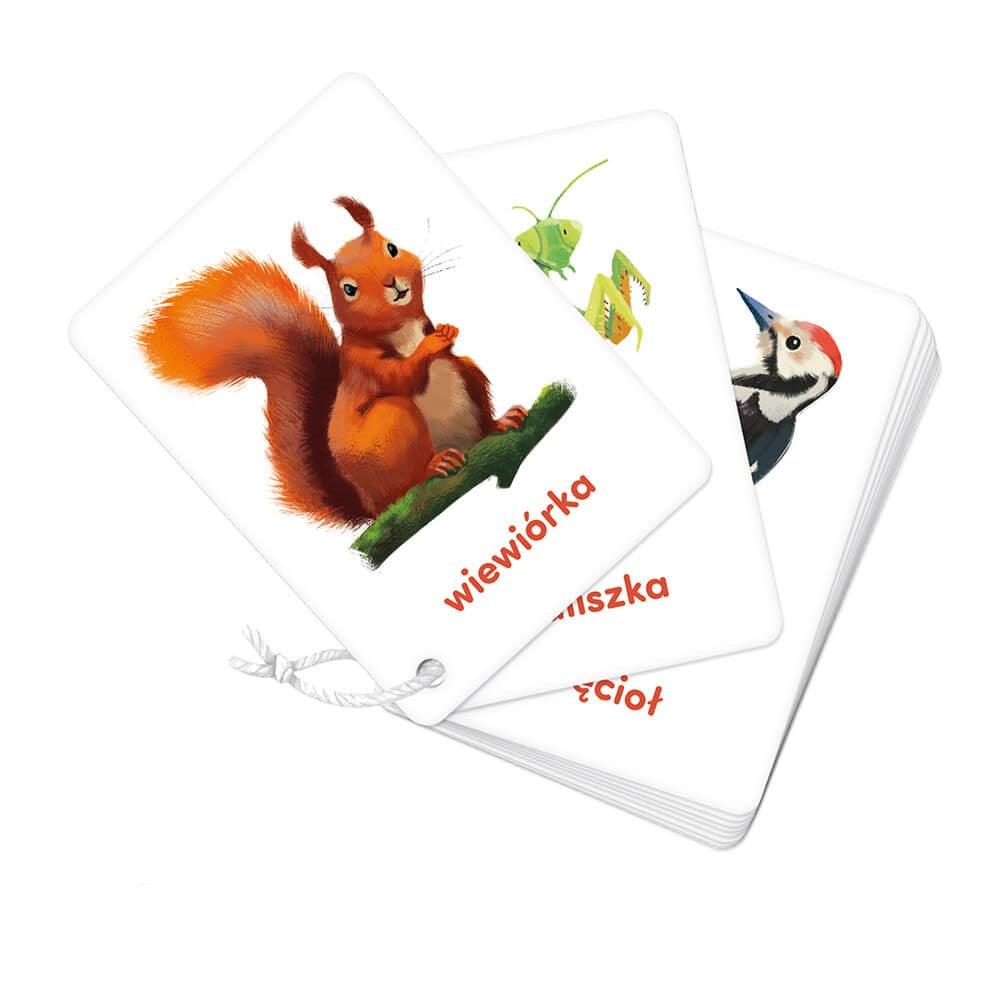 CzuCzu: karty obrazkowe na sznureczku Zwierzęta - Noski Noski