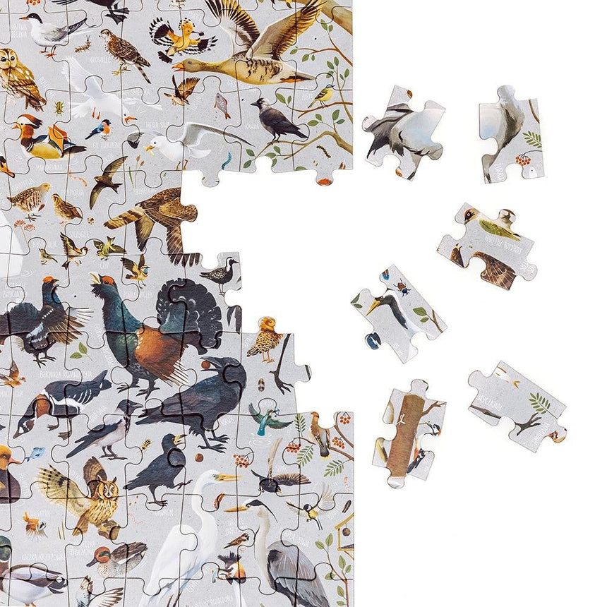 CzuCzu: puzzlove Ptaki Polski 100 el. - Noski Noski