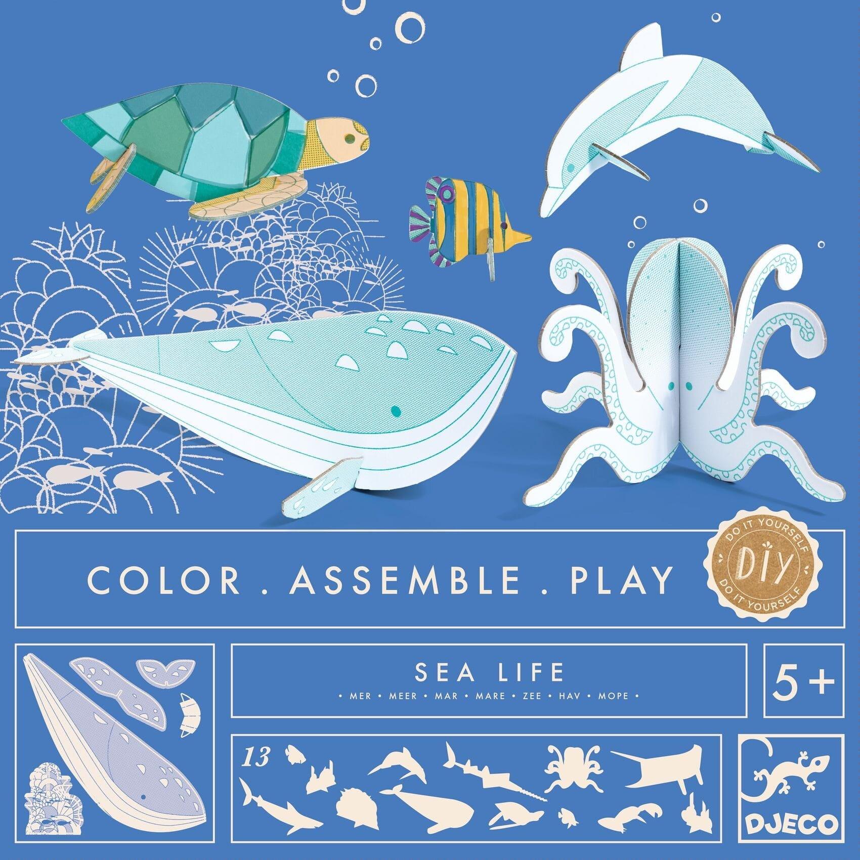 Djeco: morskie zwierzęta do samodzielnego zrobienia Sea Life DIY - Noski Noski