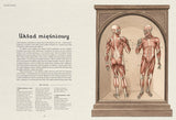 Dwie Siostry: Anatomicum - Noski Noski