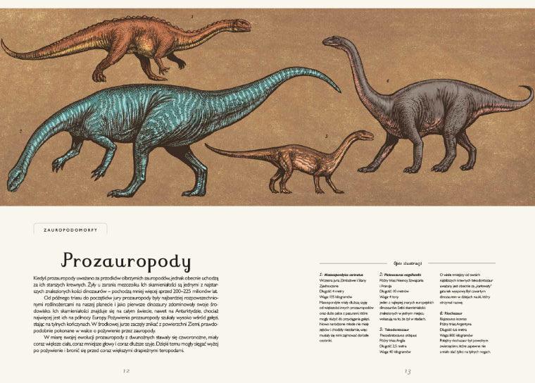 Dwie Siostry: Dinozaurium - Noski Noski