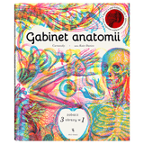 Dwie Siostry: Gabinet anatomii - Noski Noski