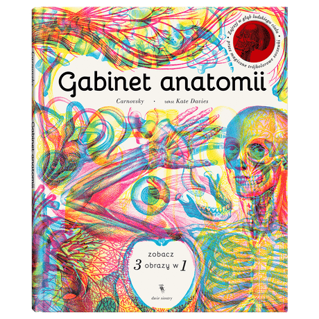 Dwie Siostry: Gabinet anatomii - Noski Noski