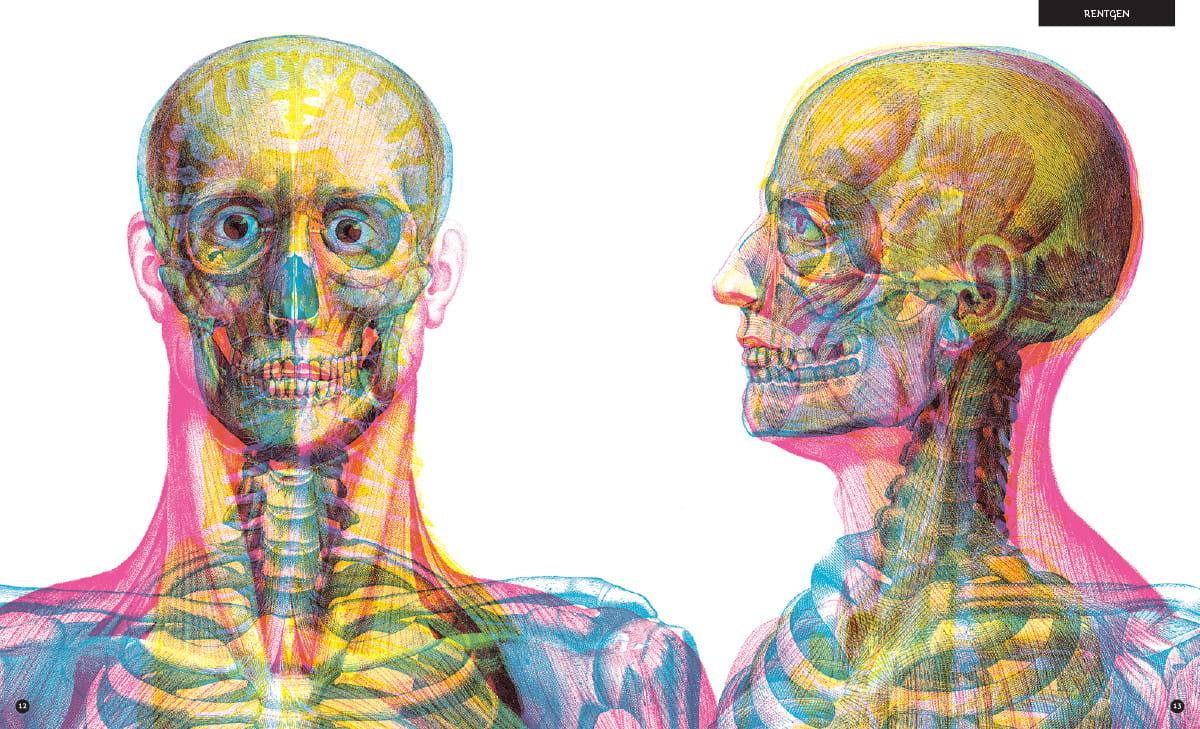 Dwie Siostry: Gabinet anatomii - Noski Noski