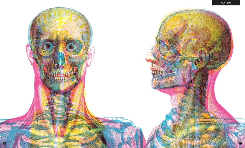 Dwie Siostry: Gabinet anatomii - Noski Noski
