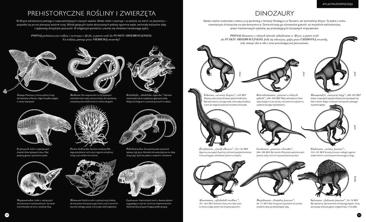 Dwie Siostry: Gabinet dinozaurów - Noski Noski