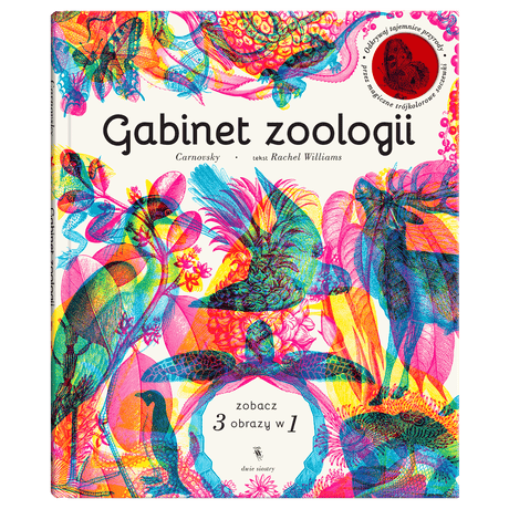 Dwie Siostry: Gabinet zoologii - Noski Noski