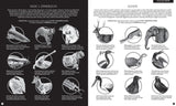 Dwie Siostry: Gabinet Zoologii - Noski Noski