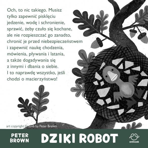 Entliczek: Dziki robot - Noski Noski