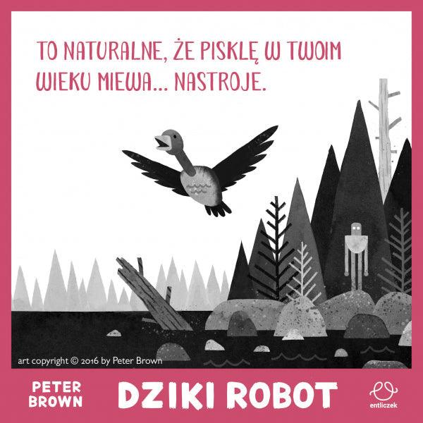 Entliczek: Dziki robot - Noski Noski