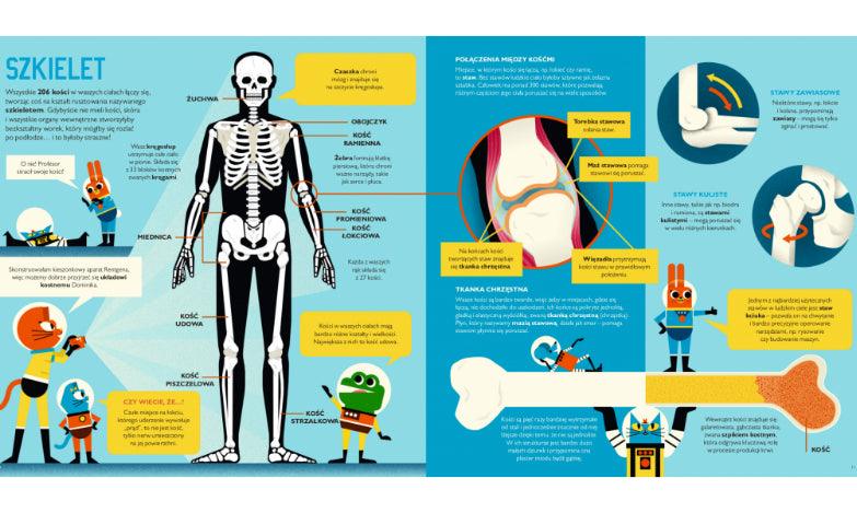 Entliczek: Odyseja po ludzkim ciele z Profesorem Astrokotem - Noski Noski