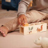 Filibabba: sorter Wooden Shape Sorter - Noski Noski