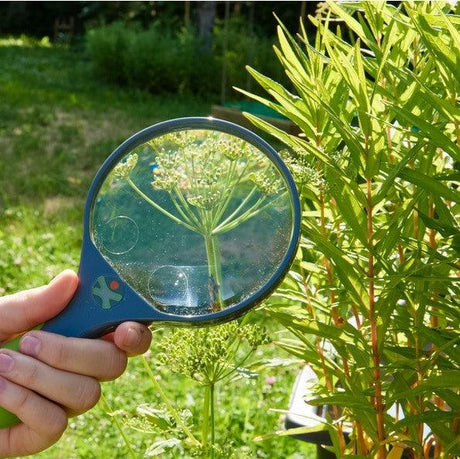 Haba: szkło powiększające Terra Kids - Noski Noski