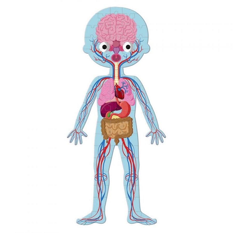 Janod: gigantyczne puzzle edukacyjne Ciało Człowieka - Noski Noski