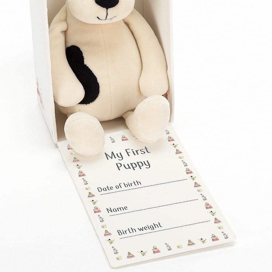 Jellycat: piesek w pudełku My First Puppy 19 cm - Noski Noski
