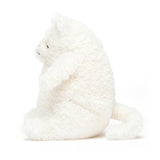 Jellycat: przytulanka kremowy kot Amore 15 cm - Noski Noski