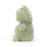 Jellycat: przytulanka żabka Little Frog 18 cm - Noski Noski