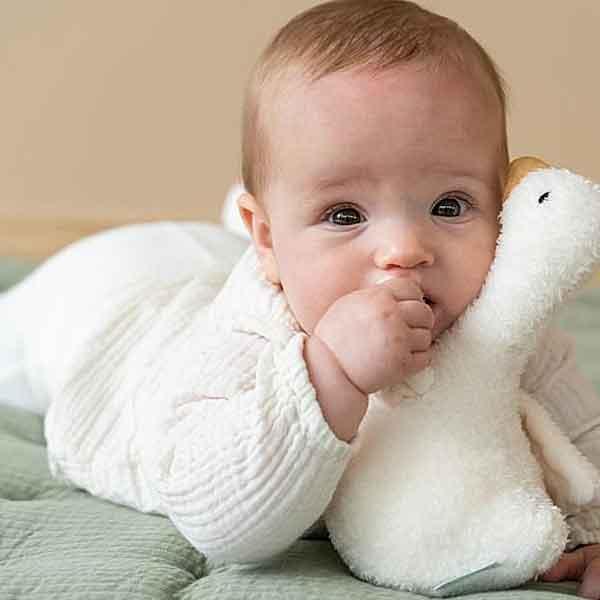 Little Dutch: balansująca grzechotka gąska Little Goose - Noski Noski