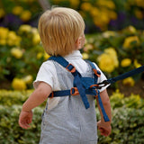 LittleLife: szelki bezpieczeństwa dinozaur Toddler Reins - Noski Noski