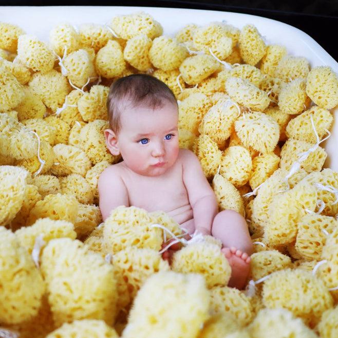 Lullalove: naturalna gąbka morska Honeycomb King Size - Noski Noski