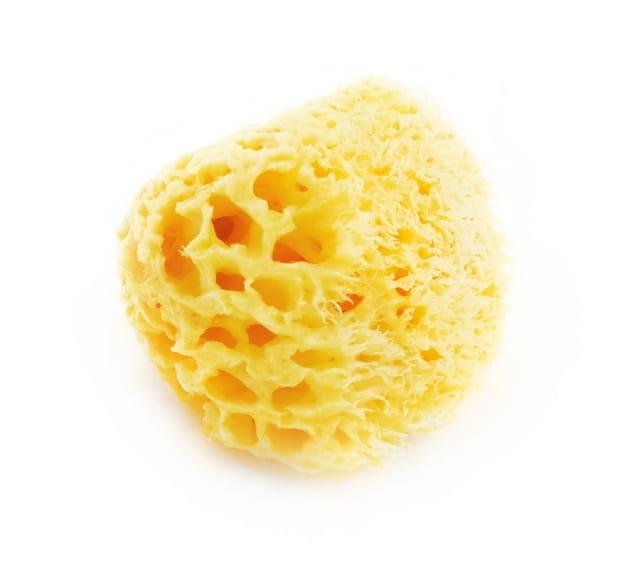Lullalove: naturalna gąbka morska Honeycomb King Size - Noski Noski