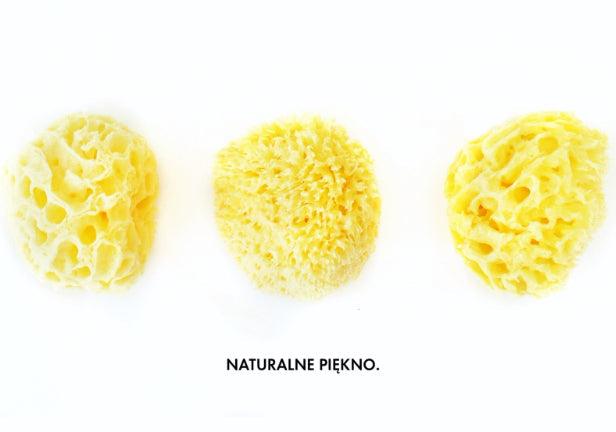 Lullalove: naturalna gąbka morska Honeycomb King Size - Noski Noski
