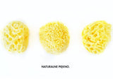 Lullalove: naturalna gąbka morska Honeycomb King Size - Noski Noski