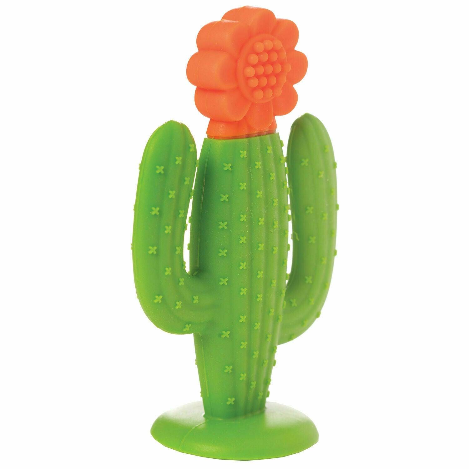 Manhattan Toy: gryzak silikonowy Kaktus - Noski Noski
