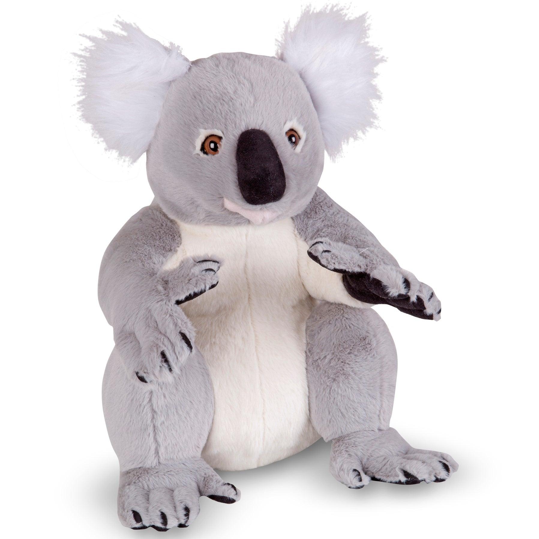 Melissa & Doug: duża przytulanka Miś Koala - Noski Noski