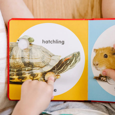 Melissa and Doug: książeczka z przyciskami Poke-a-Dot Pet Families - Noski Noski