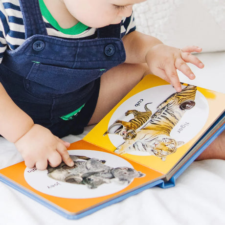 Melissa and Doug: książeczka z przyciskami Poke-a-Dot Wild Animal Families - Noski Noski