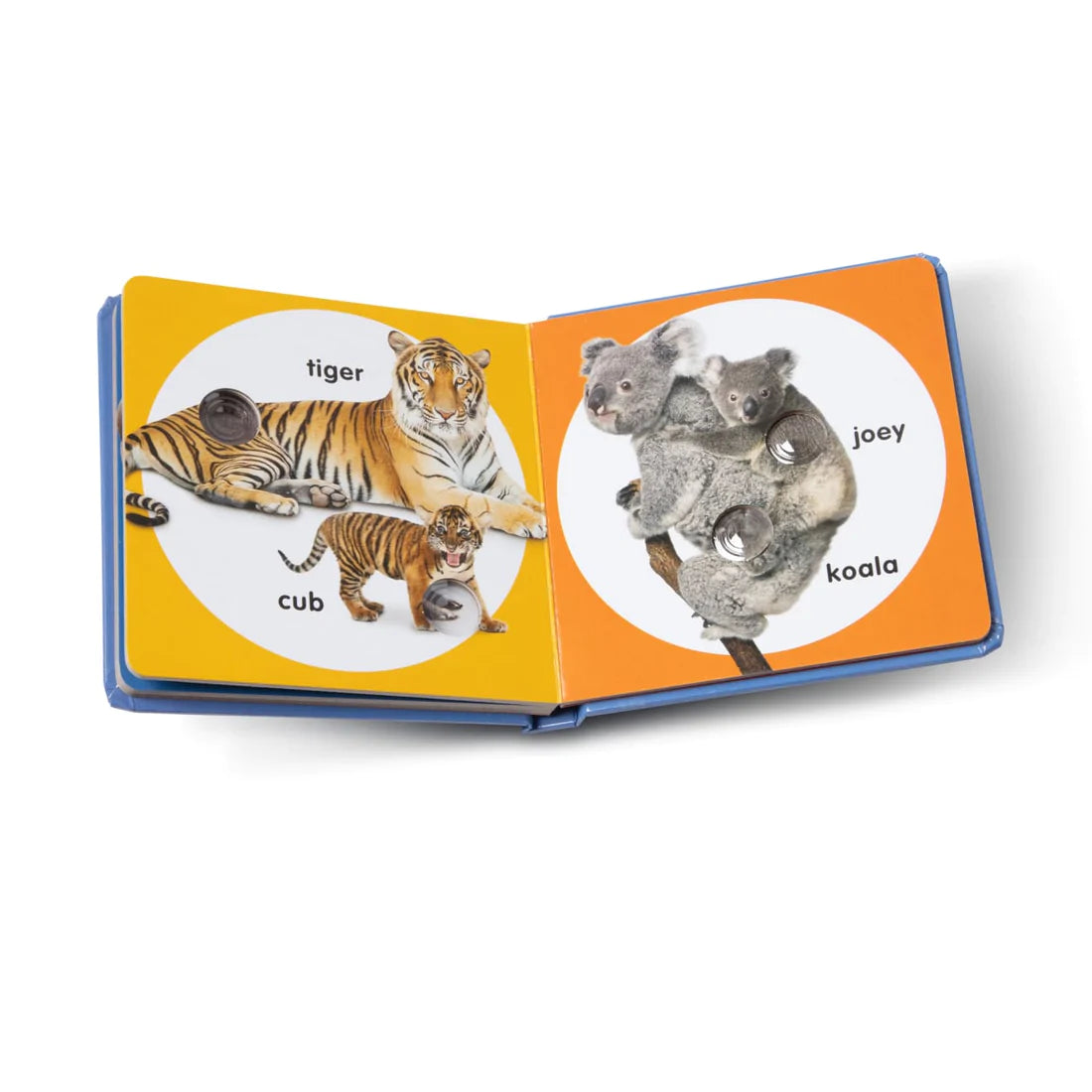 Melissa and Doug: książeczka z przyciskami Poke-a-Dot Wild Animal Families - Noski Noski
