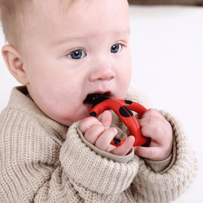 Mombella: szczoteczka treningowa Biedronka 3-8 M - Noski Noski