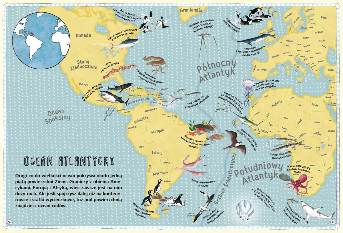 Nasza Księgarnia: Atlas oceanicznych przygód - Noski Noski