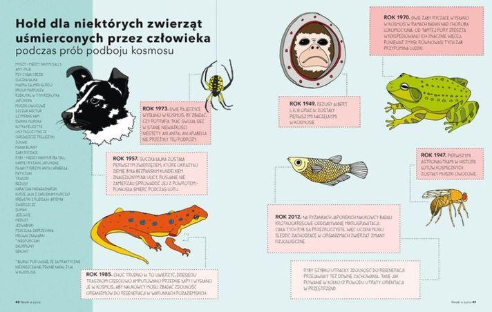 Nasza Księgarnia: Cały świat jest cudem - Noski Noski