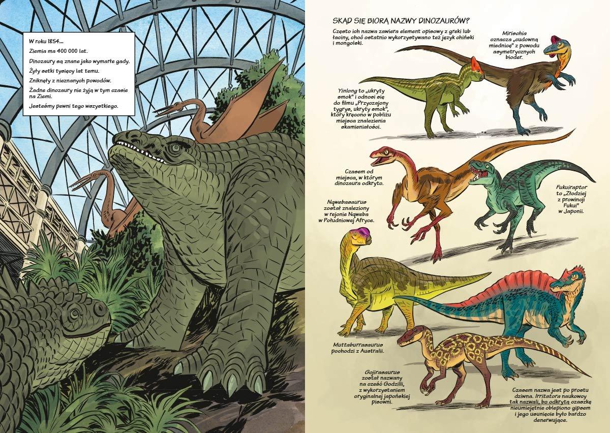 Nasza Księgarnia: Dinozaury. Skamieliny i pióra - Noski Noski