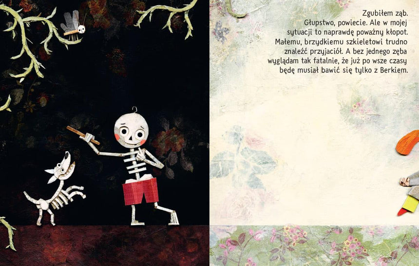 Nasza Księgarnia: Ignatek szuka przyjaciela - Noski Noski