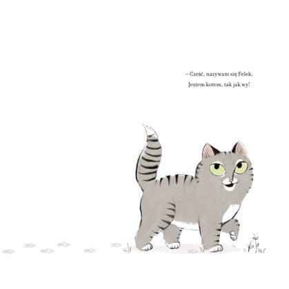 Nasza Księgarnia: Jestem kotem - Noski Noski
