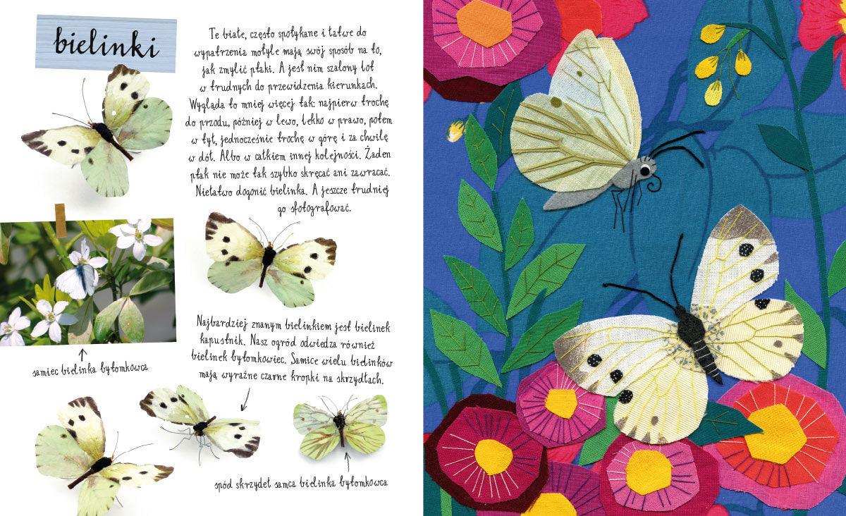 Nasza Księgarnia: Mały atlas motyli Ewy i Pawła Pawlaków - Noski Noski