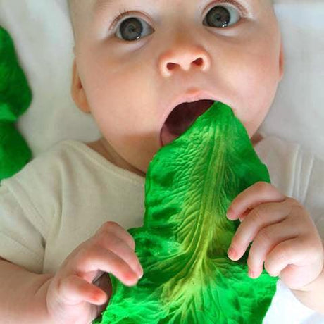 Oli and Carol: kauczukowy gryzak jarmuż Kendall the Kale - Noski Noski