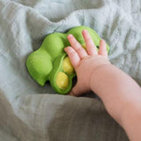 Oli and Carol: kauczukowy gryzak strączek Keiko the Edamame - Noski Noski