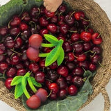 Oli and Carol: kauczukowy gryzak wisienka Mery the Cherry - Noski Noski