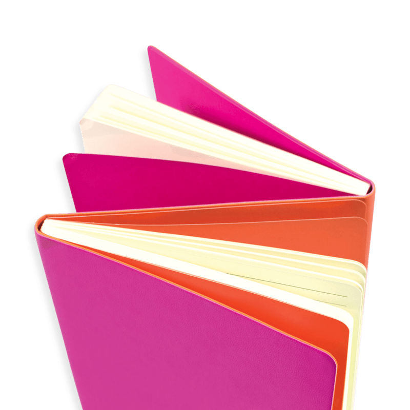Ooly: dwustronny notatnik 2-in-1 Flipside Notebook - Noski Noski