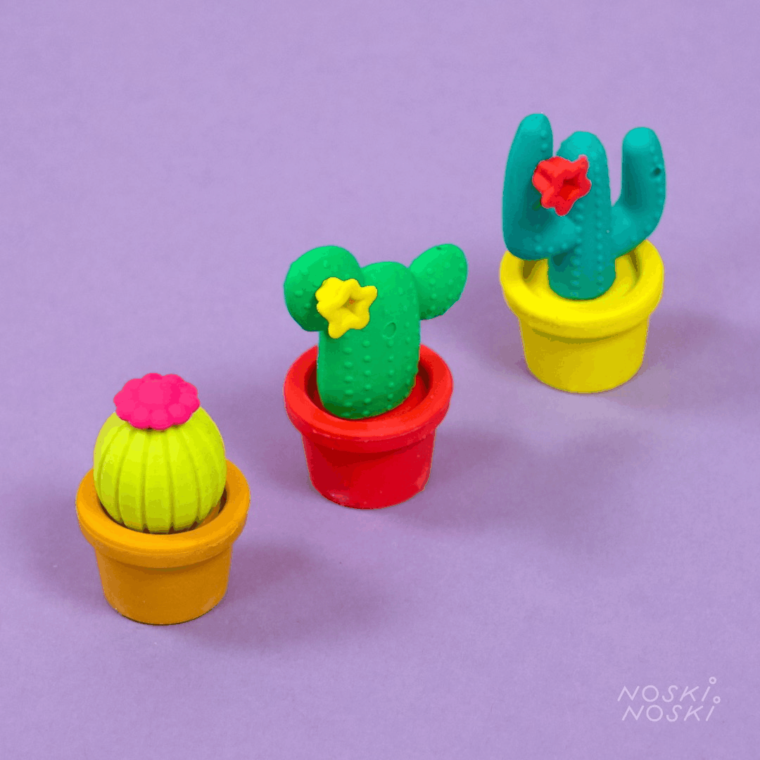 Ooly: gumki rozkładane Kaktusy - Noski Noski