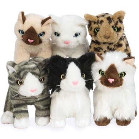 Our Generation: pluszowy kotek dla lalki Toy Kitten - Noski Noski