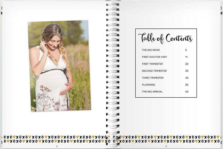 Pearhead: dziennik ciąży My Pregnancy Journal - Noski Noski