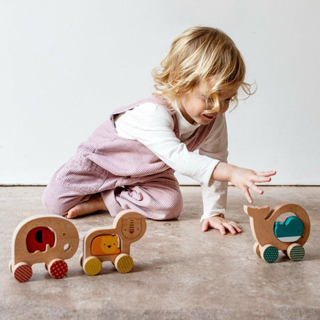 Drewniana zabawka edukacyjna na kółkach, Petit Collage Push Along, ekologiczne drewno, bezpieczna dla maluchów.