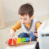 Plan Toys: drewniany ksylofon Oval Xylophone - Noski Noski