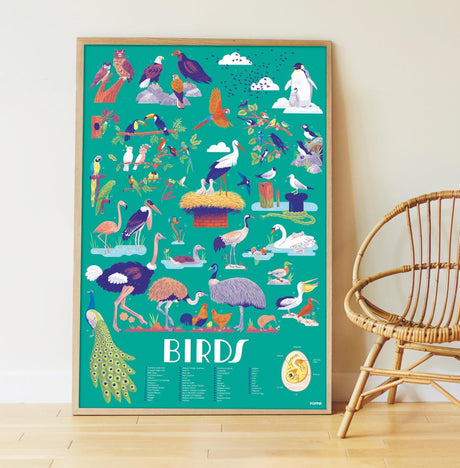 Wyklejanka edukacyjna Poppik "Ptaki na Ścianę" - plakat edukacyjny z 45 naklejkami różnych gatunków ptaków.