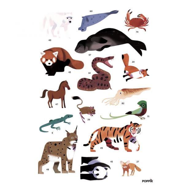 Poppik: plakat wyklejanka Zwierzęta Świata - Noski Noski